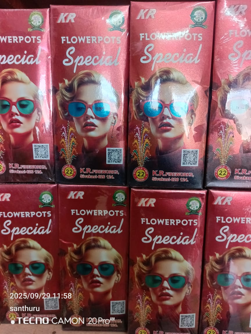 Ragavendra Crackers Flower Pots Spl