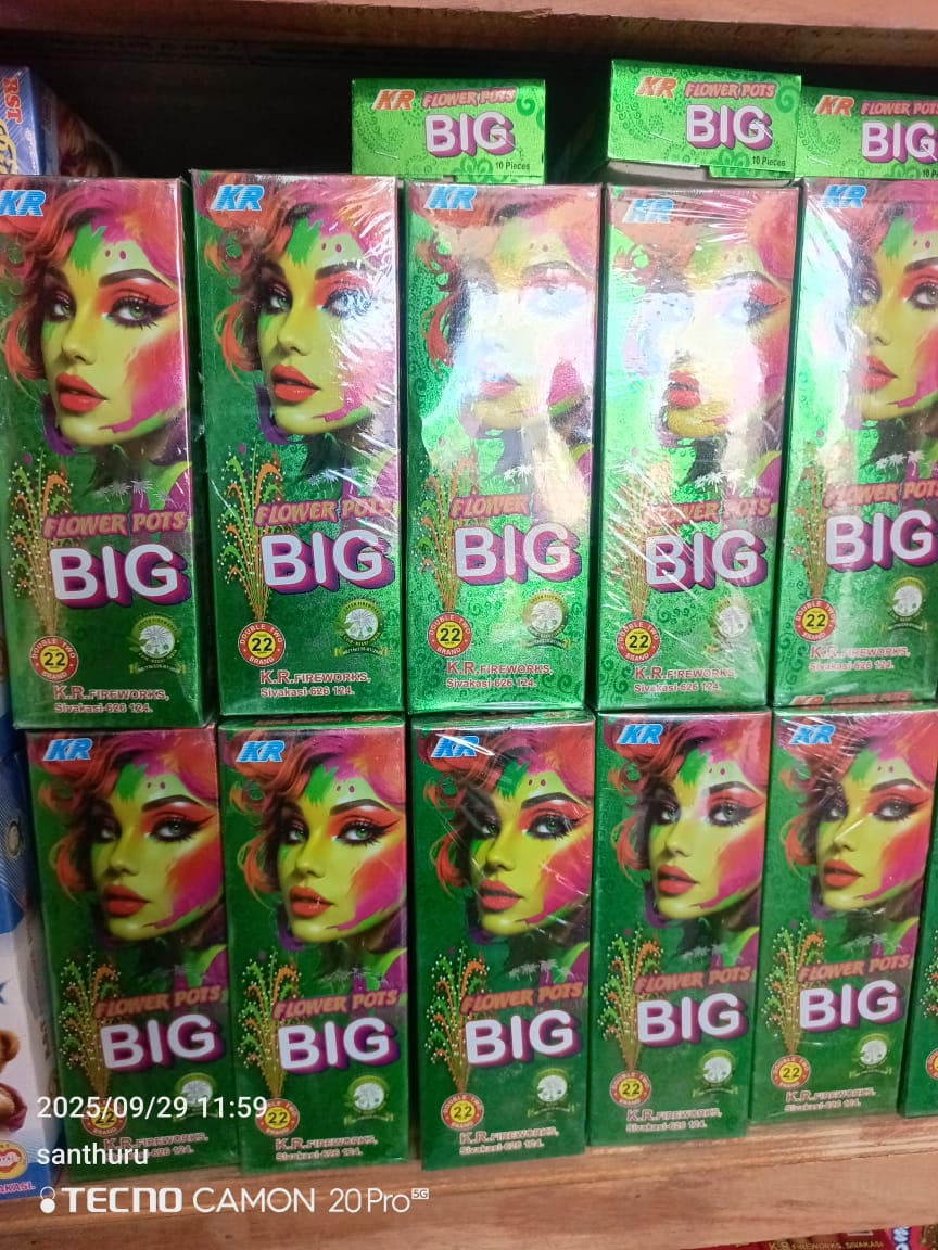 Ragavendra Crackers Flower Pots Big