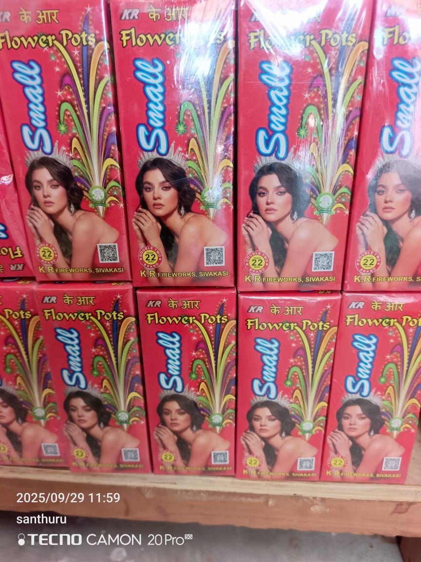 Ragavendra Crackers Flower Pots Small